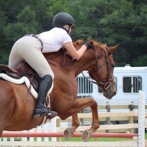 Meet your Posher, Millie